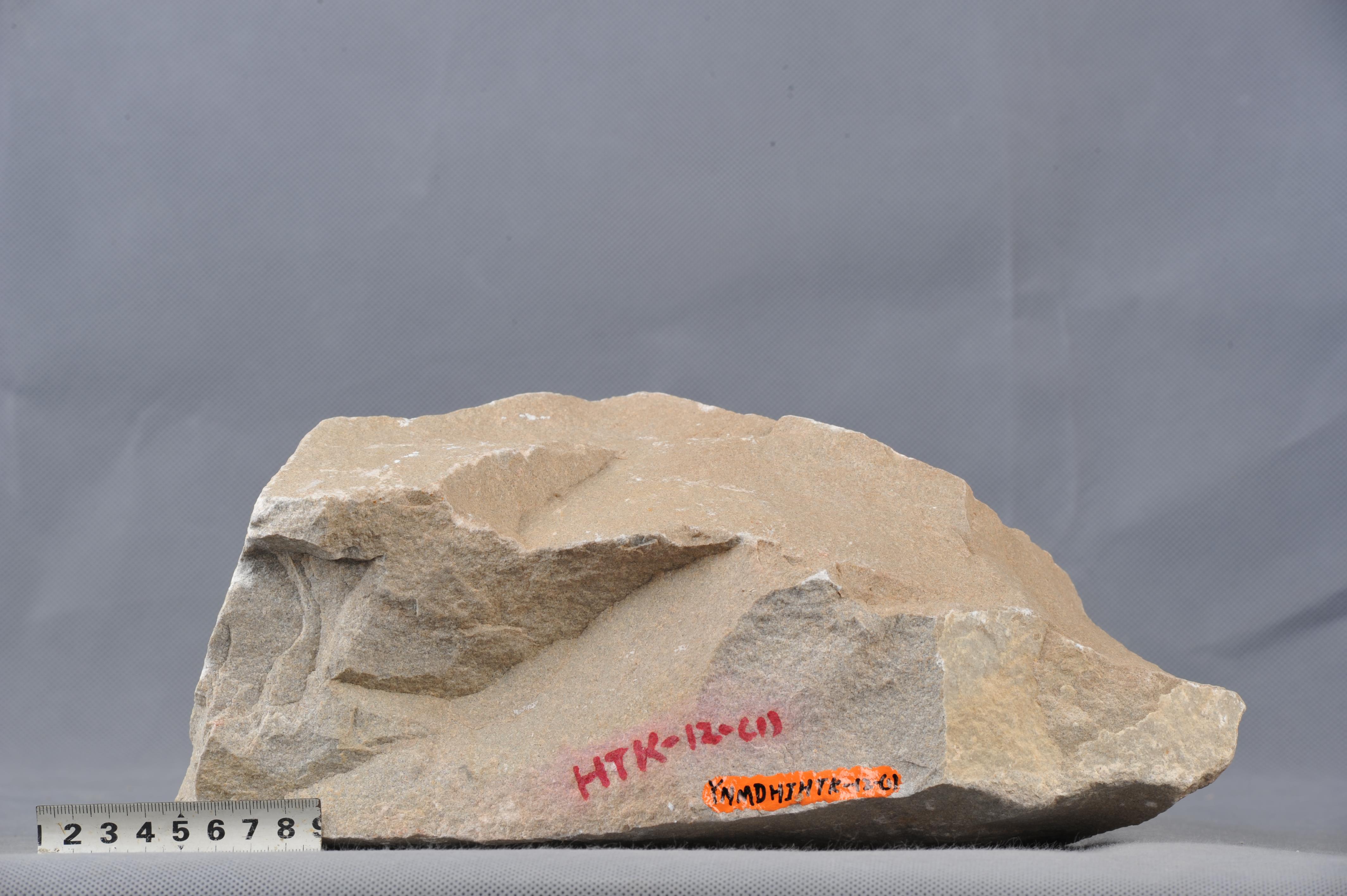 长石石英砂岩:浅灰色,细粒,块状,成分要为石英,长石,致密.