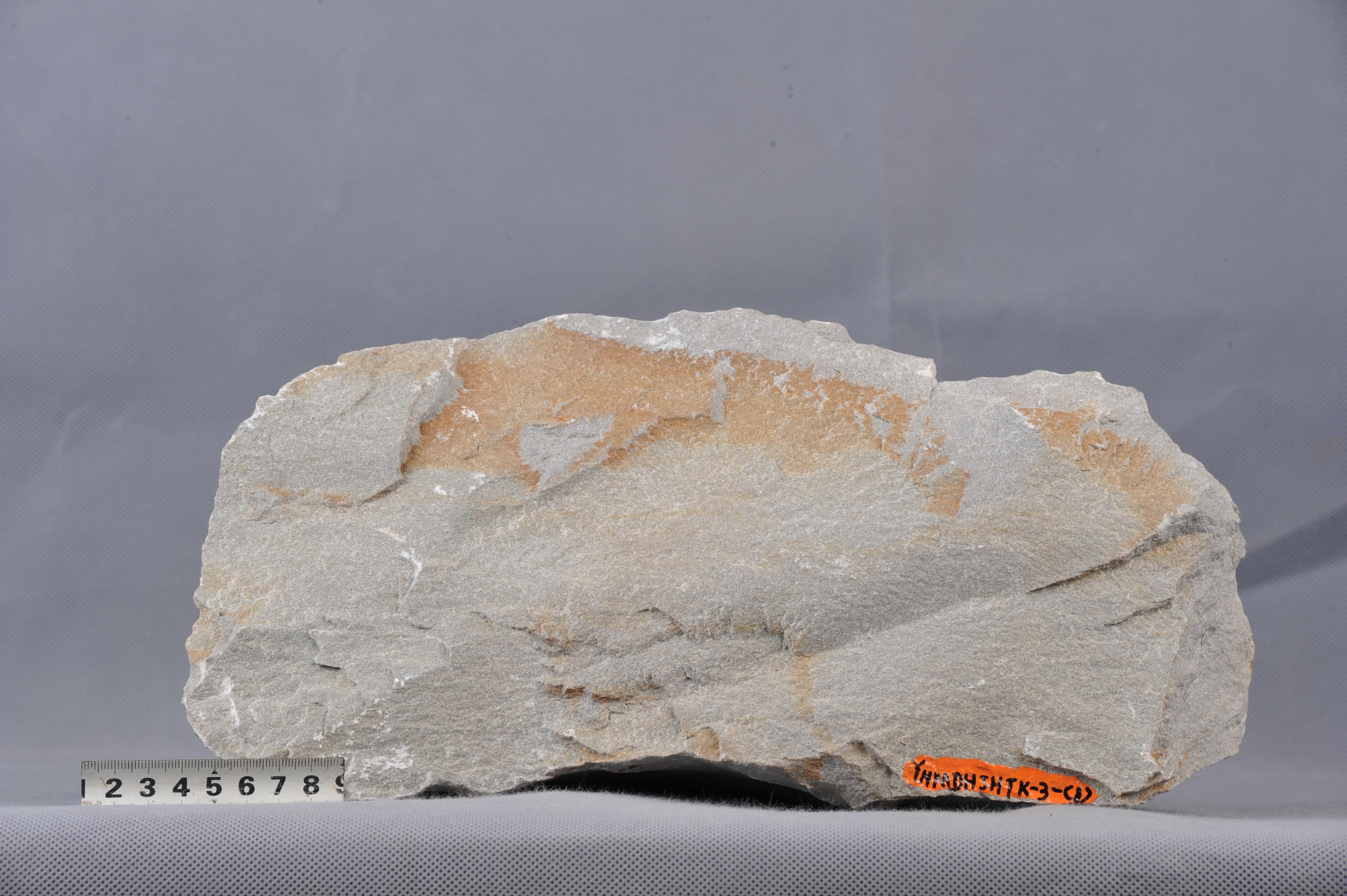 浅色中一细粒长石石英砂岩,成分要为石英,长石,粒度较均匀,岩石