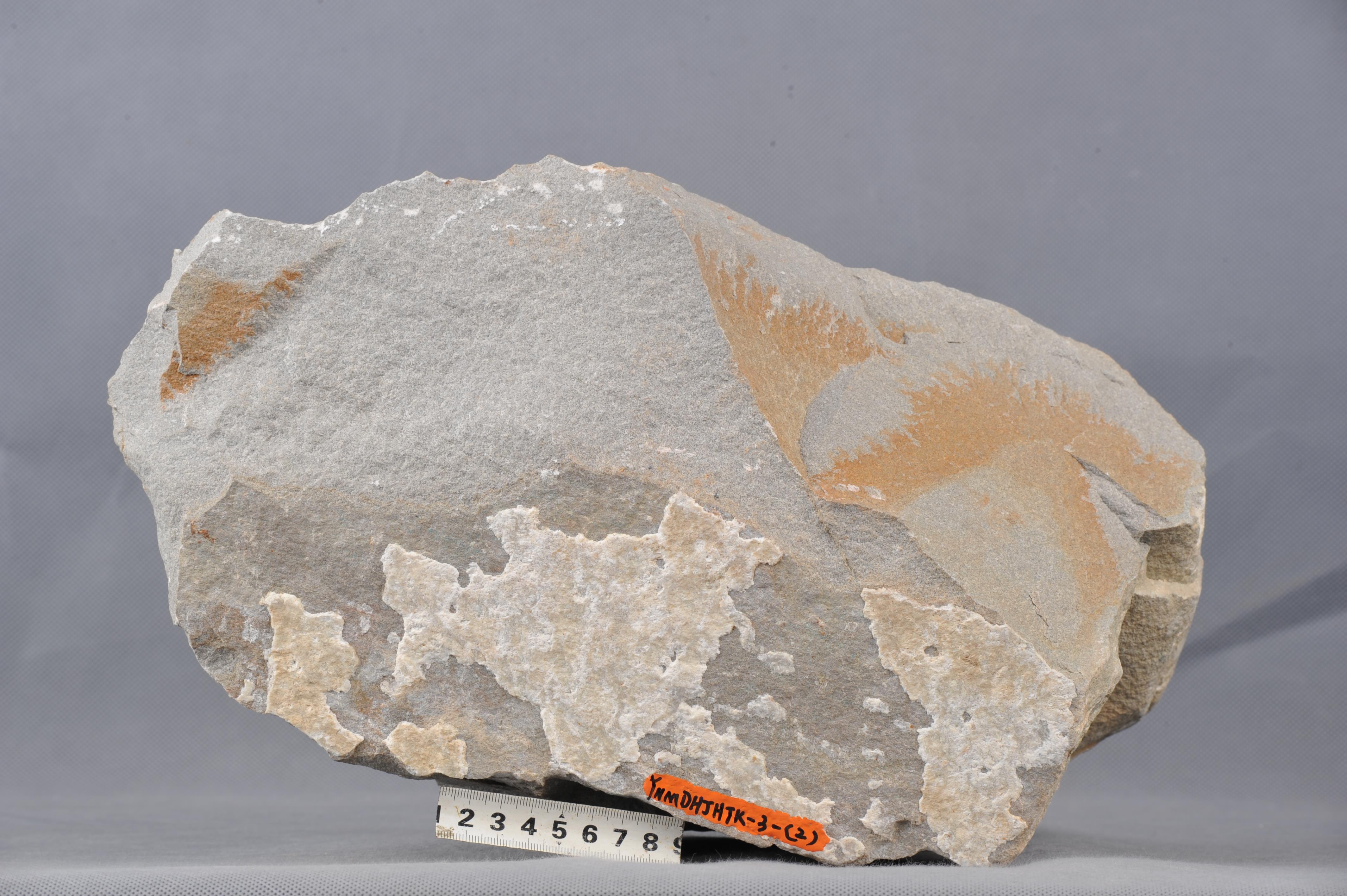 浅色中一细粒长石石英砂岩,成分要为石英,长石,粒度较均匀,岩石