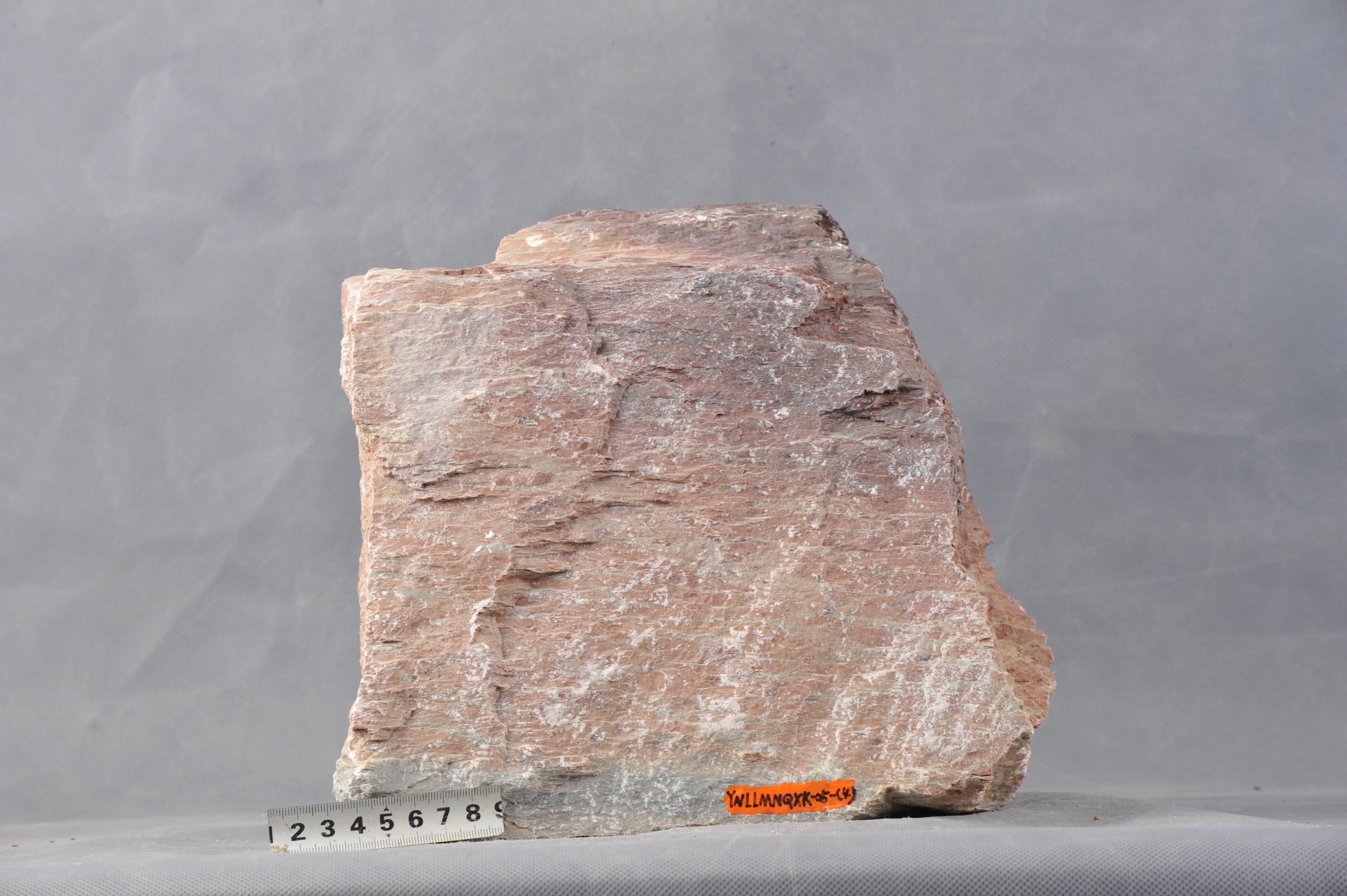 《矿物岩石学》课上的岩石标本|工程图片区 - 领先的岩土技术社区，岩土领域的媒体、社区与应用平台！